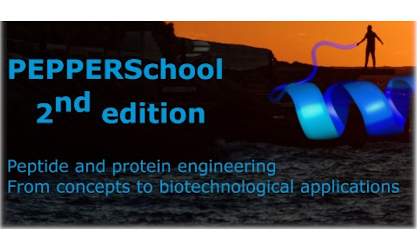 Banner website