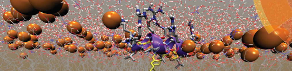 montenegreo scientific image