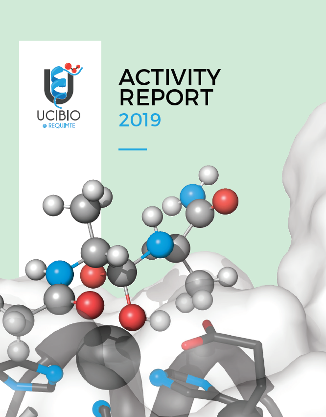 activity report 2019