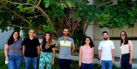 Biochemistry and Bioenergetics of Heme Proteins